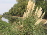 Select an image to enlarge