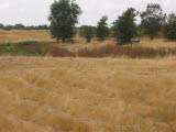 Select an image to enlarge
