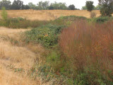 Select an image to enlarge