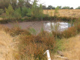 Select an image to enlarge