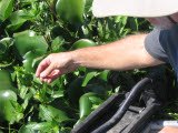 Select an image to enlarge
