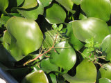 Select an image to enlarge