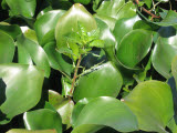 Select an image to enlarge