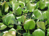 Select an image to enlarge