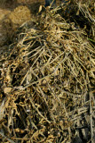 Select an image to enlarge