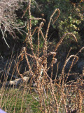 Select an image to enlarge