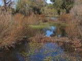 Select an image to enlarge