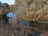 Select an image to enlarge