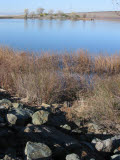 Select an image to enlarge