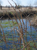 Select an image to enlarge