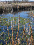 Select an image to enlarge
