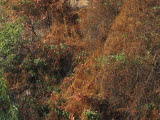Select an image to enlarge