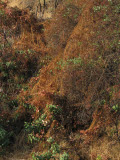 Select an image to enlarge