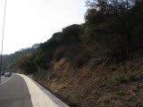 Select an image to enlarge