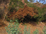 Select an image to enlarge