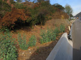 Select an image to enlarge
