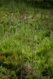 Select an image to enlarge