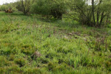 Select an image to enlarge