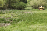 Select an image to enlarge