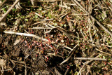Select an image to enlarge