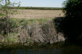 Select an image to enlarge