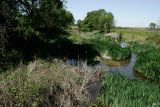 Select an image to enlarge