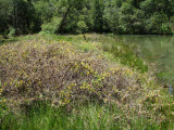 Select an image to enlarge
