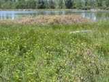 Select an image to enlarge