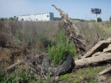 Select an image to enlarge