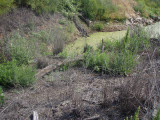 Select an image to enlarge