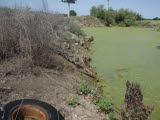 Select an image to enlarge