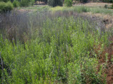 Select an image to enlarge