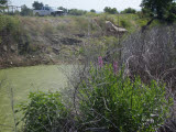 Select an image to enlarge