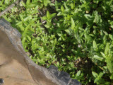 Select an image to enlarge