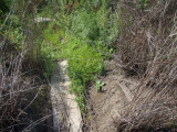 Select an image to enlarge