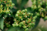 Select an image to enlarge