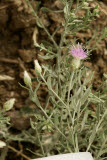 Select an image to enlarge