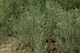 Select an image to enlarge