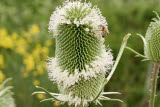 Select an image to enlarge