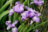 Select an image to enlarge