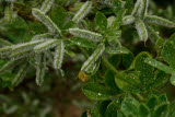 Select an image to enlarge