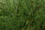 Select an image to enlarge