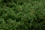 Select an image to enlarge