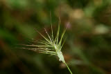 Select an image to enlarge