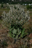 Select an image to enlarge