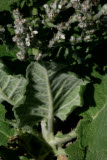 Select an image to enlarge