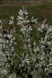 Select an image to enlarge