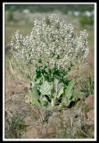 Select an image to enlarge