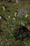 Select an image to enlarge
