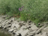 Select an image to enlarge